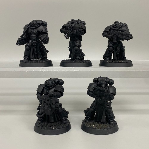 Black templars sternguard - 5,
