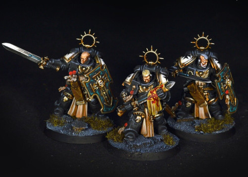 Bladeguard veterans black - veterans,